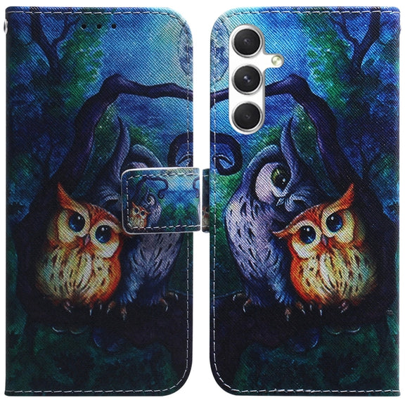 For Samsung Galaxy S25+ 5G Coloured Drawing Flip Leather Phone Case(Oil Painting Owl)