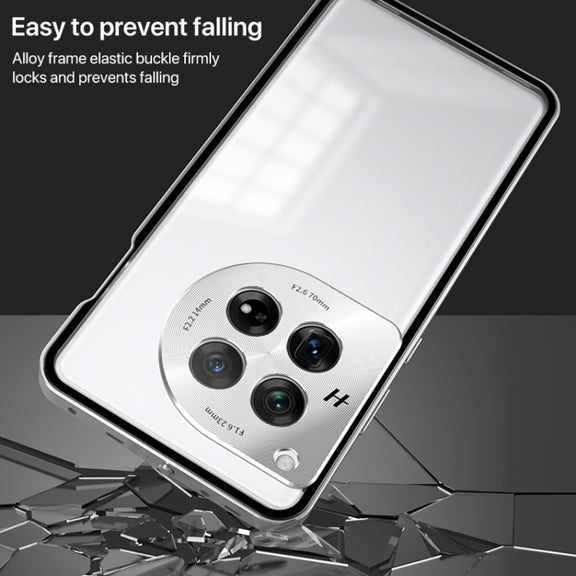 For OnePlus 13 Snap Buckle Single-sided Metal Frame Frosted Phone Case(Silver)