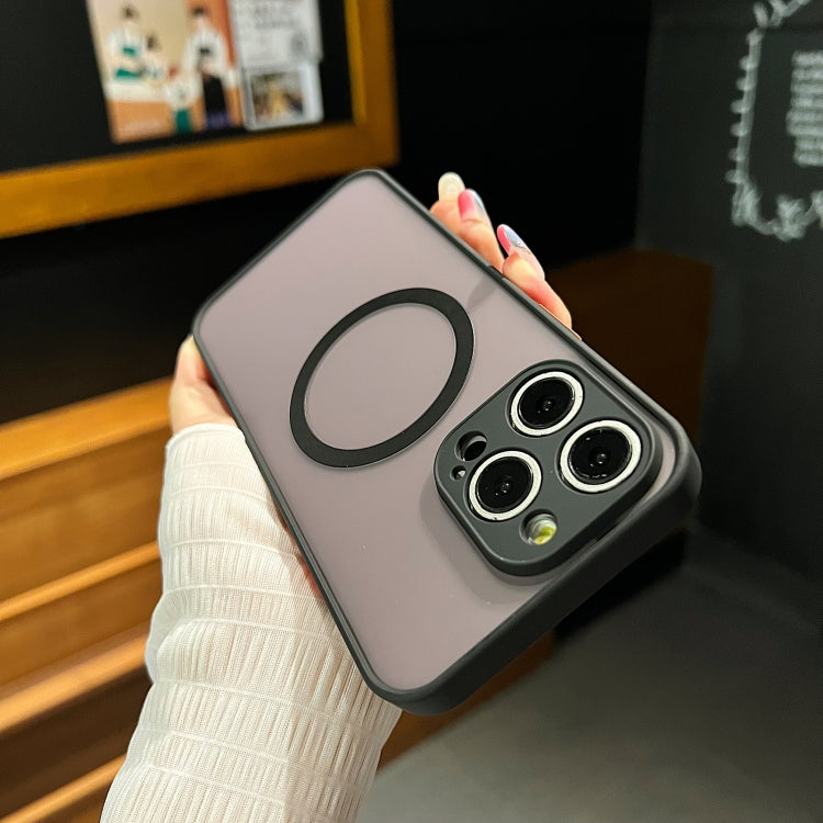 For iPhone 16 Hawkeye Skin Feel MagSafe Phone Case(Red)