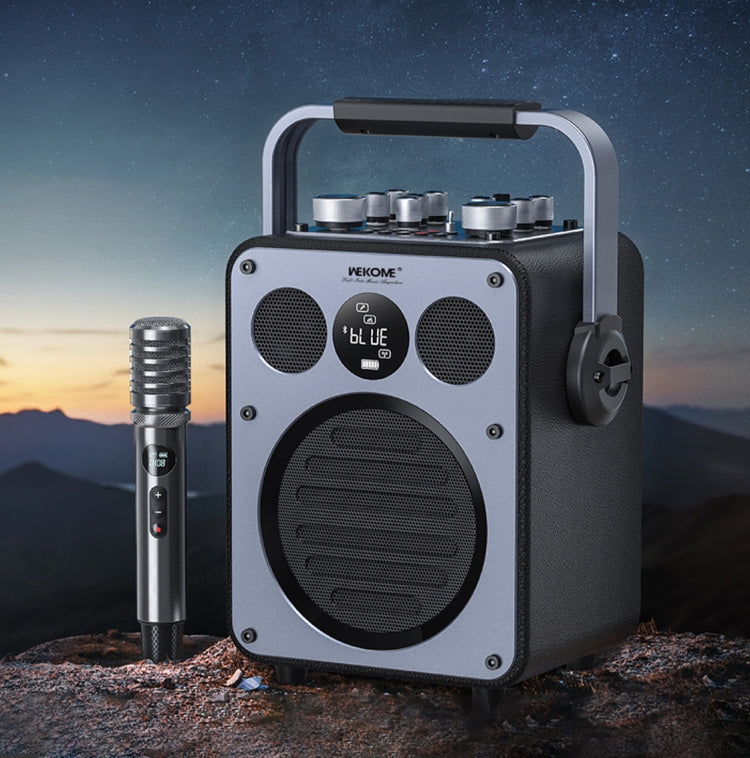 WK Beluga D7 Conductor HiFi Outdoor Portable Bluetooth Speaker(Black)
