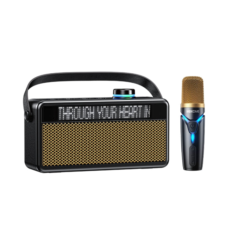 WK Beluga D17 Lyrics Bluetooth Speaker(Black)