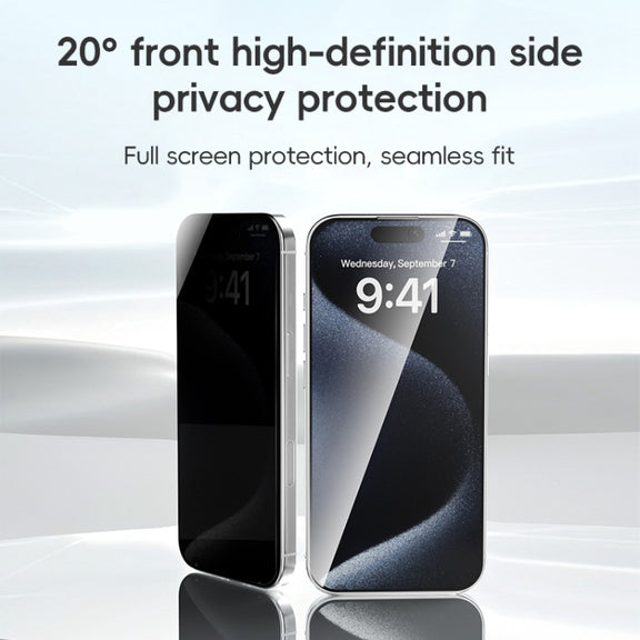 For iPhone 16 Plus ZGA 0.33mm 2.5D Anti-static Privacy Tempered Glass Film