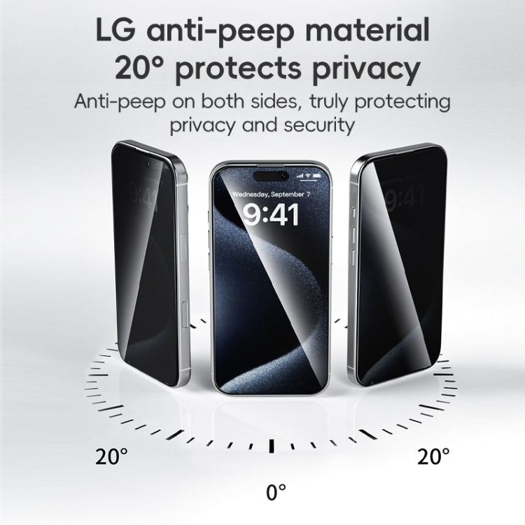 For iPhone 16 Plus ZGA 0.33mm 2.5D Anti-static Privacy Tempered Glass Film