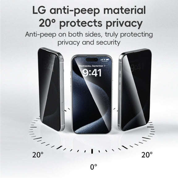 For iPhone 16 Plus ZGA 0.33mm 2.5D Anti-static Privacy Tempered Glass Film