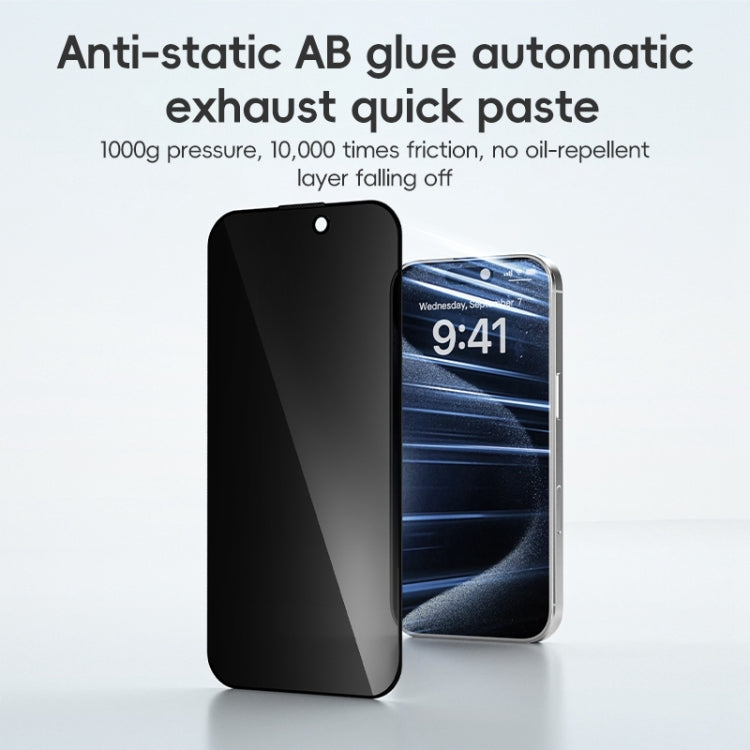 For iPhone 16 Plus ZGA 0.33mm 2.5D Anti-static Privacy Tempered Glass Film