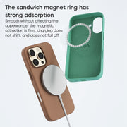 For iPhone 16 Pro ZGA Colorful Liquid Silicone Magsafe Phone Case(Grey)