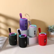 T&G TG434 Outdoor Portable Wireless Bluetooth Speaker(Silver)