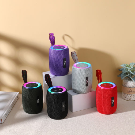 T&G TG434 Outdoor Portable Wireless Bluetooth Speaker(Silver)