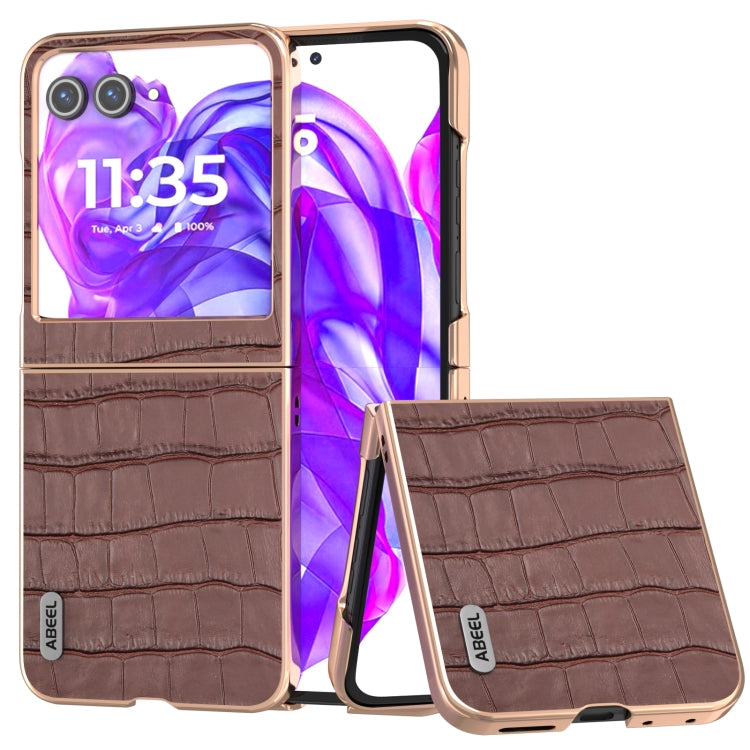 For Motorola Razr 50 ABEEL Electroplating Frame Crocodile Texture Genuine Leather Phone Case(Brown)