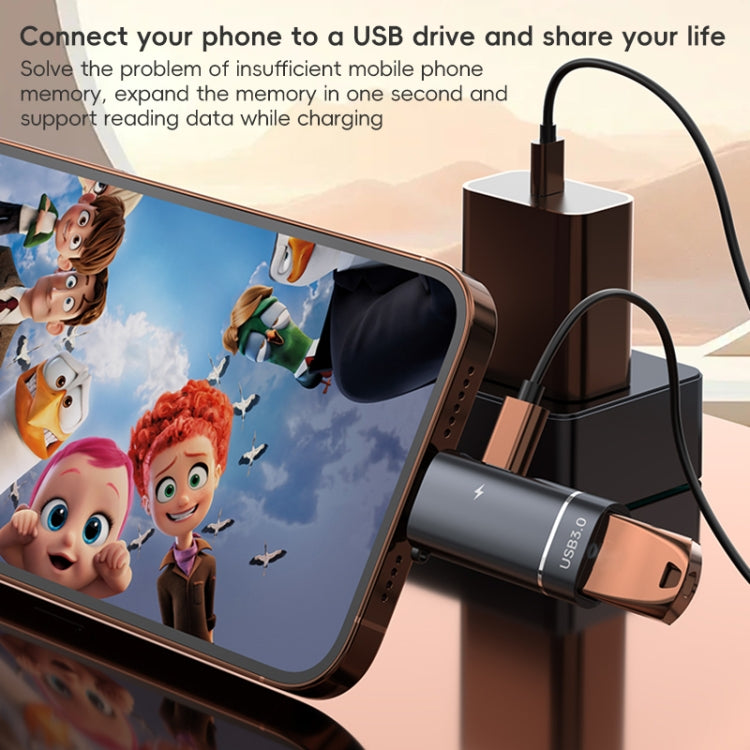 2 in 1 Type-C to USB and Type-C Charging OTG Adapter(Grey)