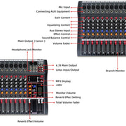 XTUGA CT120X 12-Channels Audio Mixer DJ Mixing Console with 48V Power Supply(AU Plug)