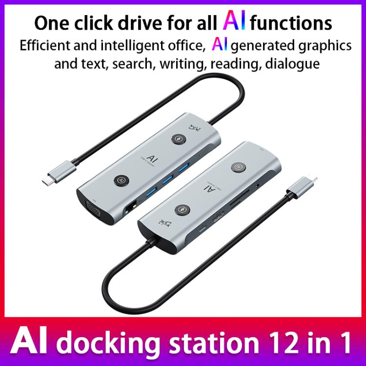 YCE V172 12 in 1 USB-C / Type-C HUB Adapter AI Docking Station(Grey)