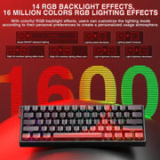 EDA008874101A_6.jpg@d4bb0f11ba7e60b2ee3e23f7561920c0