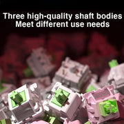 EDA0089622_B6.jpg@3145396d1705b3a8df91685b4a1e1877