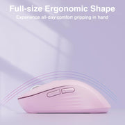 EDA008968601D_5.jpg@ffdf703bb990e0806651e75ca329d0ac