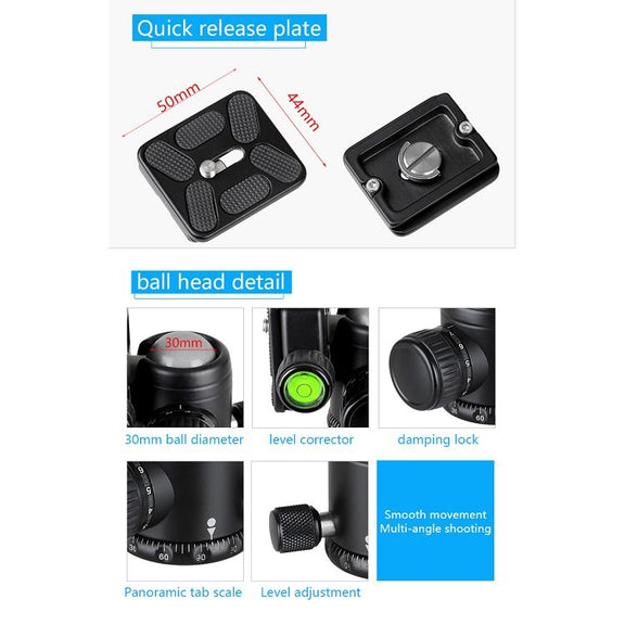 BEXIN BX255C K30 Portable Carbon Fiber Tripod for Camera Dslr