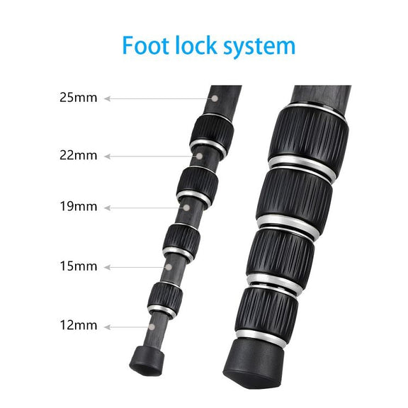 BEXIN BX255C K30 Portable Carbon Fiber Tripod for Camera Dslr