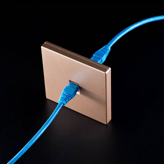 CAT.6 Shielded Pass-through Network Module, Single Port Panel + Shielded Pass-through (Grey)
