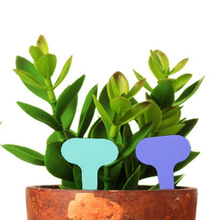 100PCS Floral Label Gardening Label Water-resistant small card Insert Label Potted Label,Random Color Delivery