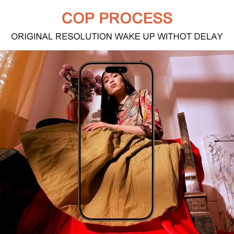 IP130149_4.jpg@3bf67eb8f1ebc52617d80f704a20cbb1