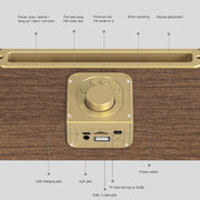 Oneder V6 Portable Wireless Bluetooth Speaker, Support Hands-free & FM & TF Card & AUX & USB Drive (Bronze)