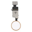 Home Button (3rd ) with Flex Cable (Not Supporting Fingerprint Identification) for iPhone 8 Plus / 7 Plus / 8 / 7(Gold) - Button & Card Slots by PMC TechLife | Online Shopping South Africa | PMC TechLife | Buy Now Pay Later Mobicred