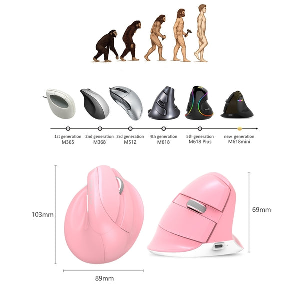 DELUX M618 Mini 2.4G Wireless 2400DPI USB Rechargeable Ergonomic Vertical Mouse (White)