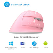 DELUX M618 Mini 2.4G Wireless 2400DPI USB Rechargeable Ergonomic Vertical Mouse (White)