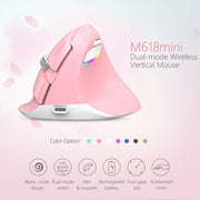 DELUX M618 Mini 2.4G Wireless 2400DPI USB Rechargeable Ergonomic Vertical Mouse (White)
