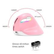 DELUX M618 Mini 2.4G Wireless 2400DPI USB Rechargeable Ergonomic Vertical Mouse (White)