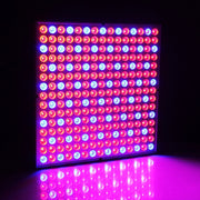 45W SMD 2835 Red + Blue Light LED Plant Growth Light, 225 LEDs Greenhouse Light Aquarium Light, AC 85-265V