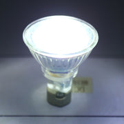 MR16 5W LED Spotlight, AC / DC 12V (Warm White)