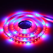 4:1 2m Bare Board 5050 SMD RGB LED Rope Light, 12V 2A 100-240V (US Plug)