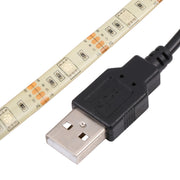 USB 5050 SMD LED Red Light Water-resistant Epoxy Rope Light, 30 LED/m, DC 5V, Length: 2m