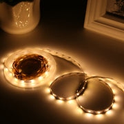 Bare Board 2835 SMD Dimmable White Light / Warm Light LED Rope Light, 60 LED/m, Length: 5m, 12V 2A 100-240V(US Plug)