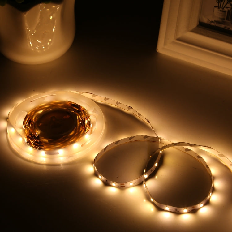 Bare Board 2835 SMD Dimmable White Light / Warm Light LED Rope Light, 60 LED/m, Length: 5m, 12V 2A 100-240V(US Plug)