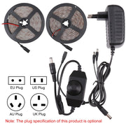 2pcs Bare Board 2835 SMD Dimmable White Light / Warm Light LED Rope Light, 60 LED/m, Length: 5m, 12V 2A 100-240V(US Plug)