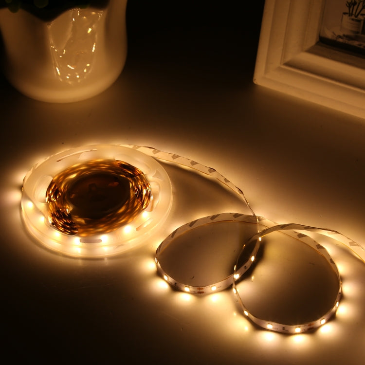 2pcs Bare Board 5050 SMD RGB LED Rope Light, 30 LED/m, Length: 5m, 12V 2A 100-240V, with 24 Keys Doodle Controller (AU Plug)