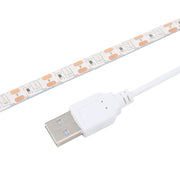USB 2835 SMD LED UV Purple Light Water-resistant Epoxy Rope Light, DC 5V, Length: 2m