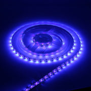 USB 2835 SMD LED UV Purple Light Water-resistant Epoxy Rope Light, DC 5V, Length: 2m