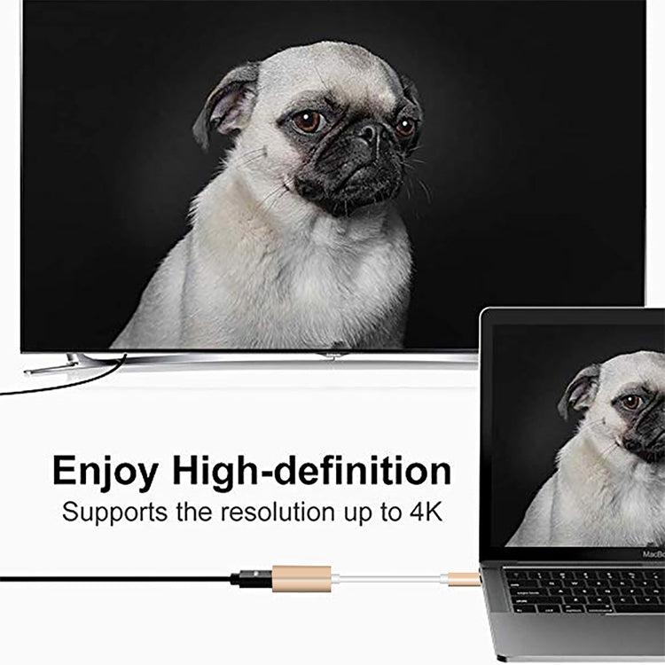 USB-C / Type-C 3.1 Male to Mini DP Female HD Converter, Length: 12cm(Silver)