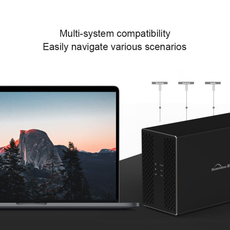 Blueendless USB-B Interface 3.5 inch 2 Bay RAID Combination Array HDD External Enclosure (US Plug)