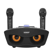 SD-306 2 in 1 Family KTV Portable Wireless Live Dual Microphone + Bluetooth Speaker(Black)