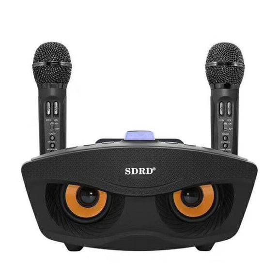 SD-306 2 in 1 Family KTV Portable Wireless Live Dual Microphone + Bluetooth Speaker(Black)
