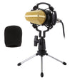 BM-700 USB Professional Condenser Microphone - Microphone by PMC TechLife | Online Shopping South Africa | PMC TechLife | Buy Now Pay Later Mobicred