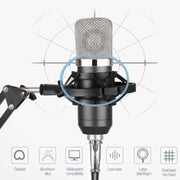 BM-700 USB Professional Condenser Microphone