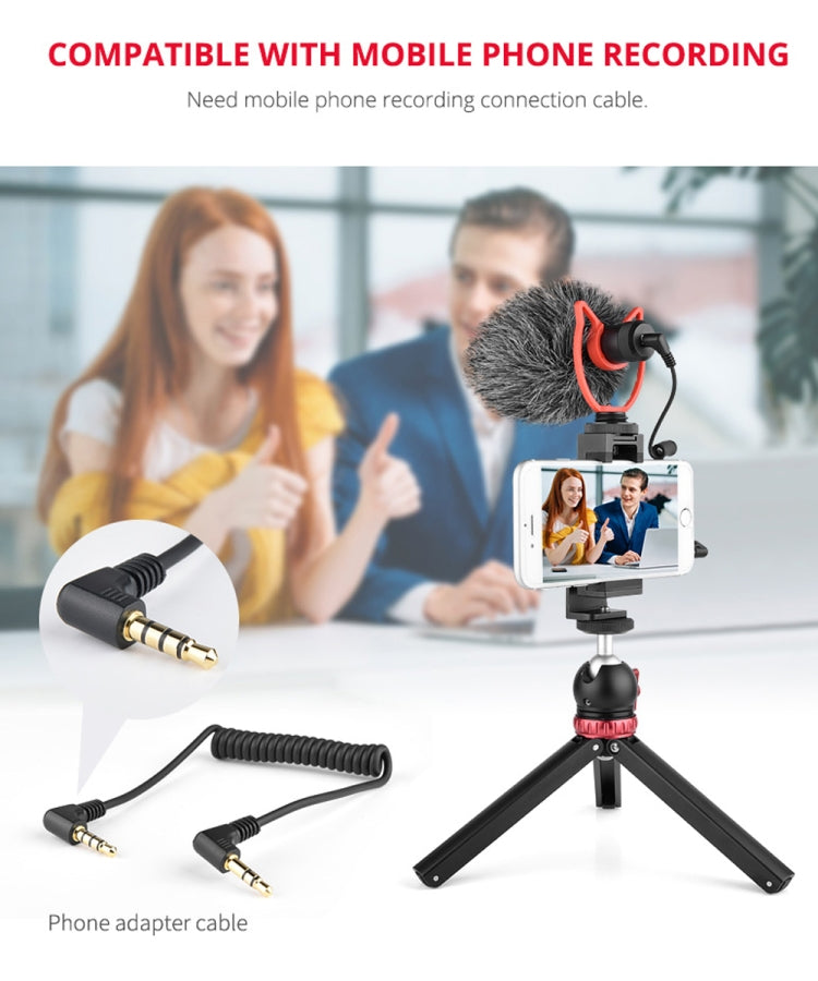 YELANGU MIC10 YLG9920A Professional Interview Condenser Video Shotgun Microphone with 3.5mm Audio Cable for DSLR & DV Camcorder (Black)