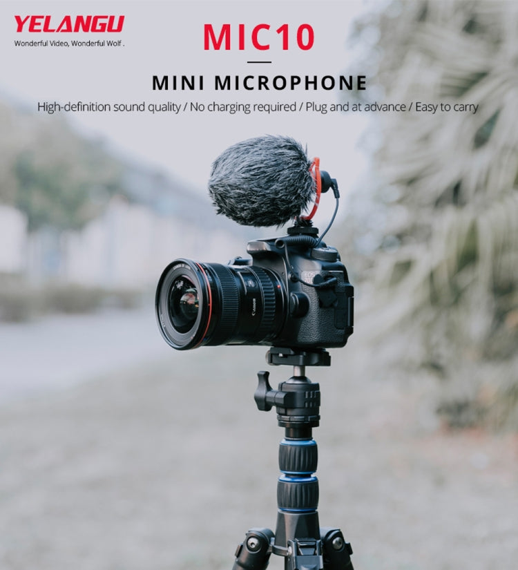 YELANGU MIC10 YLG9920A Professional Interview Condenser Video Shotgun Microphone with 3.5mm Audio Cable for DSLR & DV Camcorder (Black)