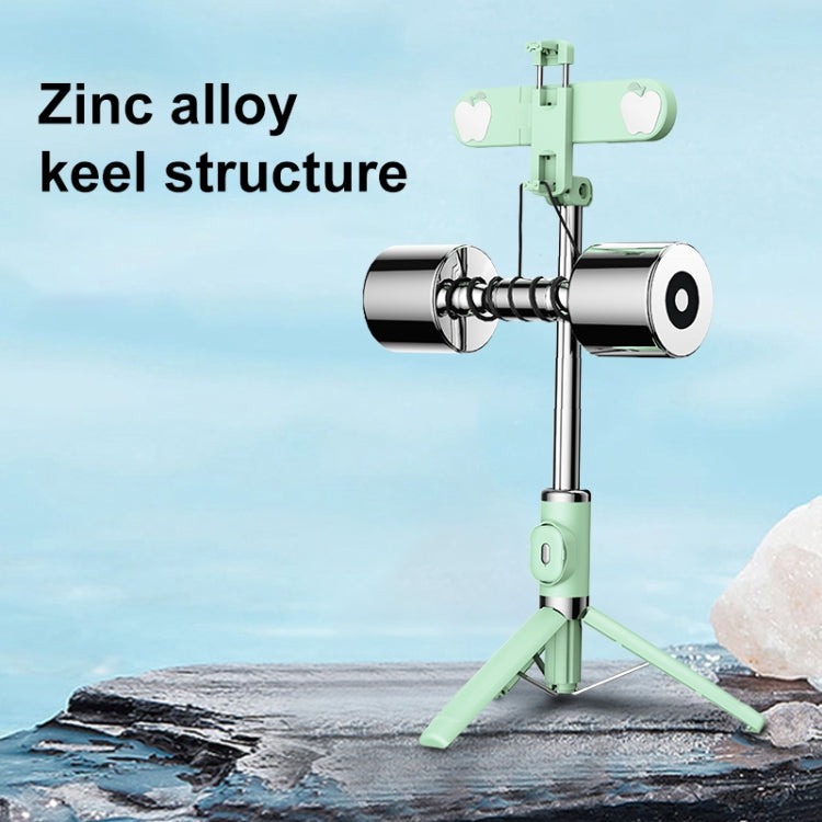 M01S Bluetooth Remote Control Dual Fill Light Tripod Selfie Stick (Black)