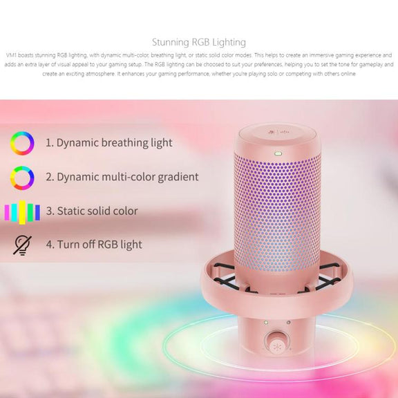 FEELWORLD VM1 USB Condenser Gaming Microphone for Streaming Noise Cancellation Mute RGB Light Desktop Stand (Pink)